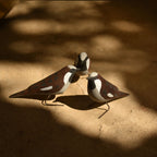 Hand-carved wooden bird